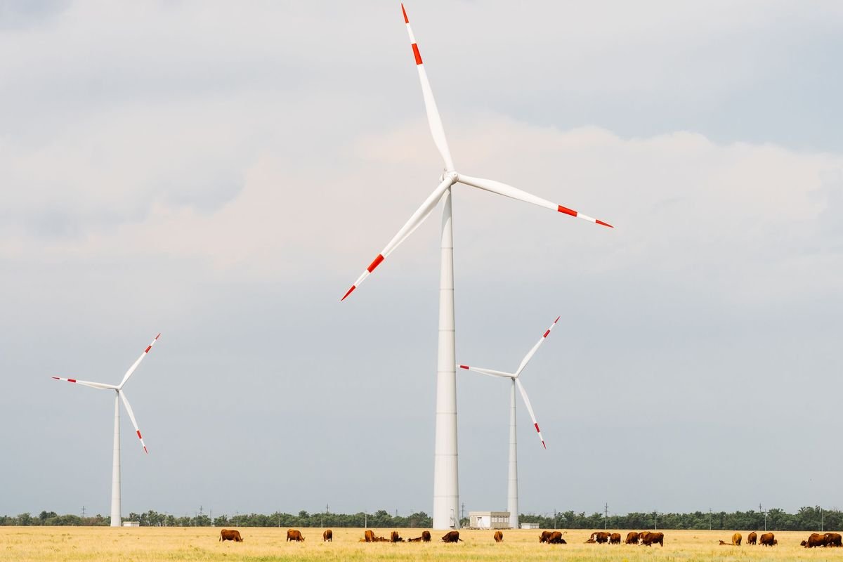 � �������������� ���� �������� ������� ������������������� ���������