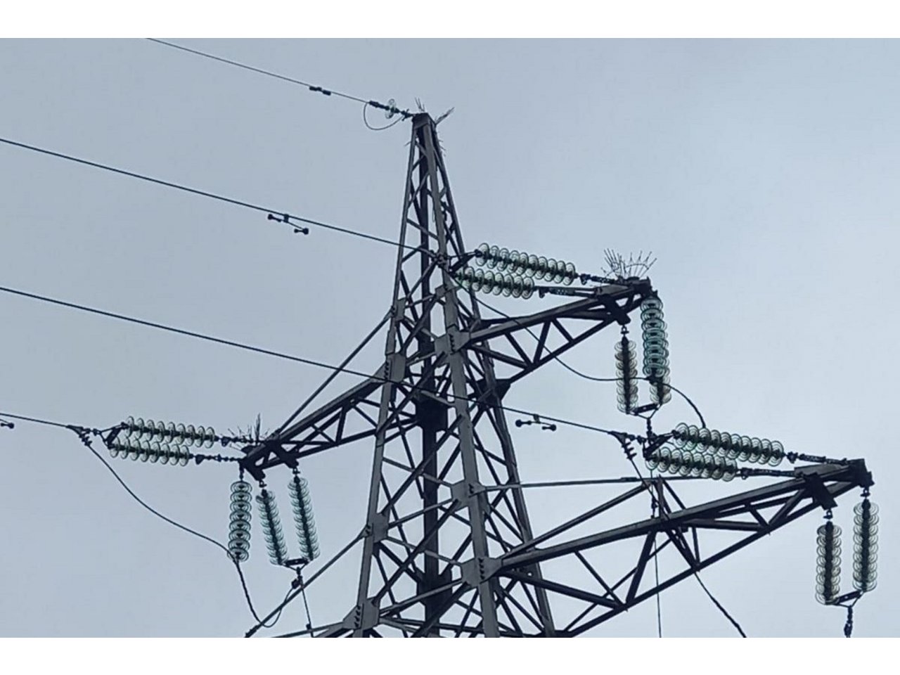 �� ������������� ��� � �������� ���������� ��������� ����� 5 ���. ������������� ��������� � 2026 ����