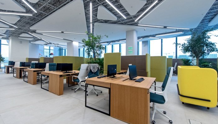 �����������-������� ����� �������� � ������ ��������� �����������