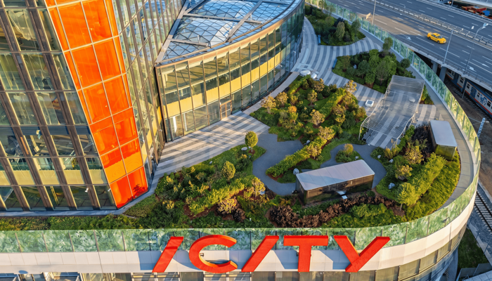 � ����� ���� �������� ����������� ���������� ��������� ������ ������