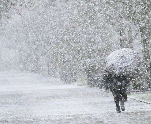 ����� ���������� ������� ������������ ������� ���������� � ������������� �������� �������?