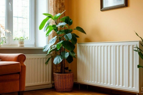 ����� ������������� ����� ������� ������� �������������� ������������