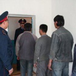 В Тульской области в рамках операции «Нелегальный мигрант» задержаны 64 иностранца