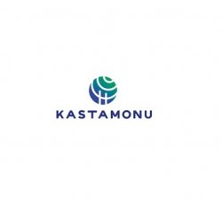 В компании Kastamonu рассказали о бизнес-итогах 2021 года