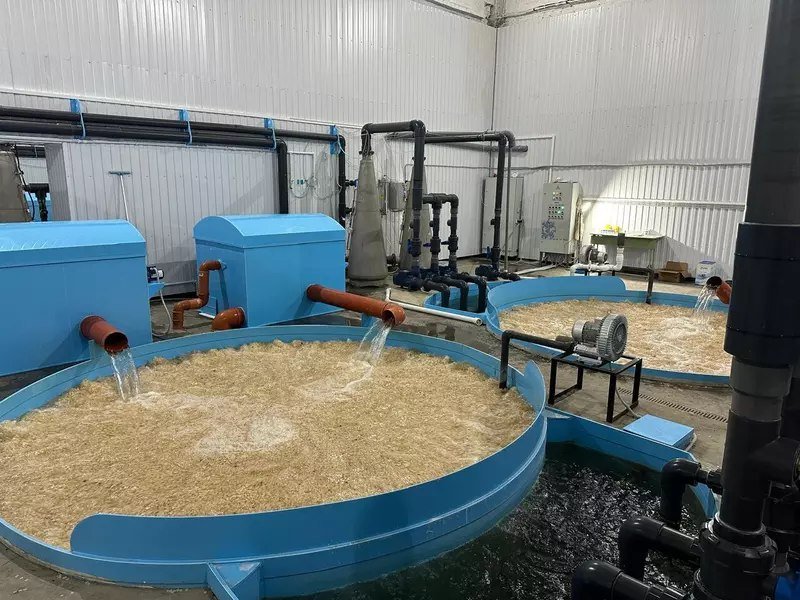 � ������ ��������� ������ ���� ������������ ������