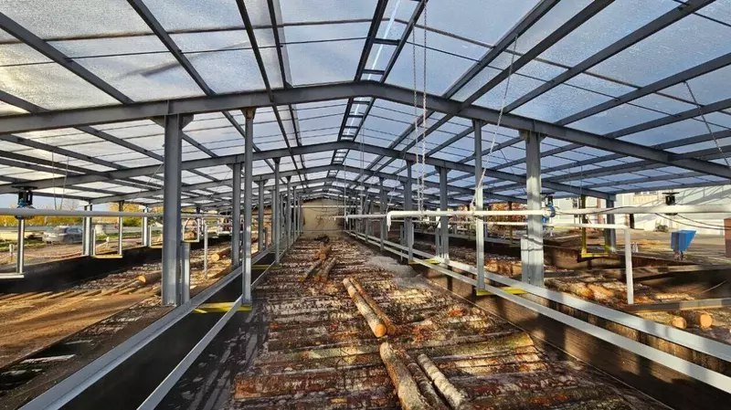 ���������������� ������ ������ ��������� �������� ���� ������������ ������ ������������