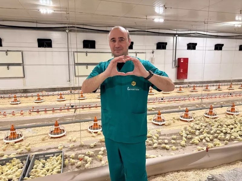 ������� �������� ���� �������� ������� �������������� �������� � ������������� �������