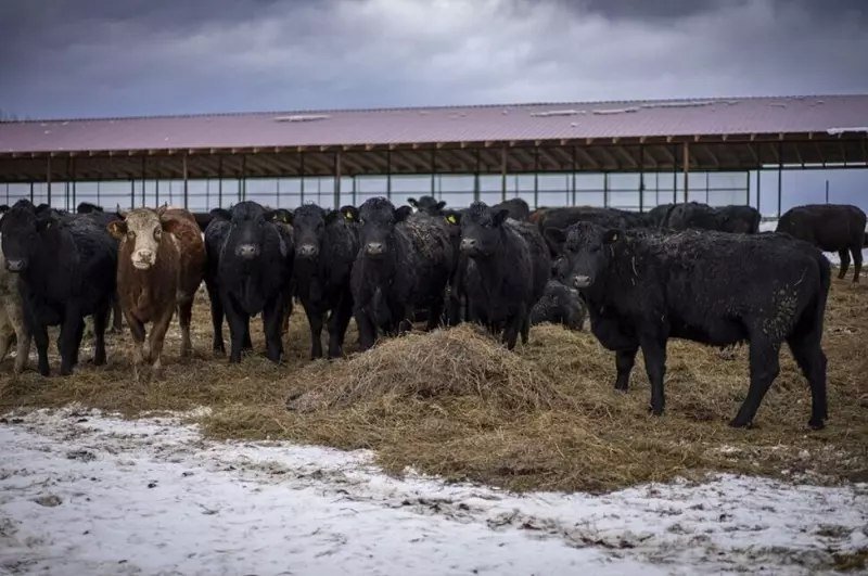 � �������� ������� ������ ������� �������� ��������� �� ������� ���