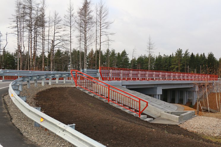 Путепровод на трассе Р-21 «Кола» в Сегежском районе Карелии в 2016 году капитально отремонтируют