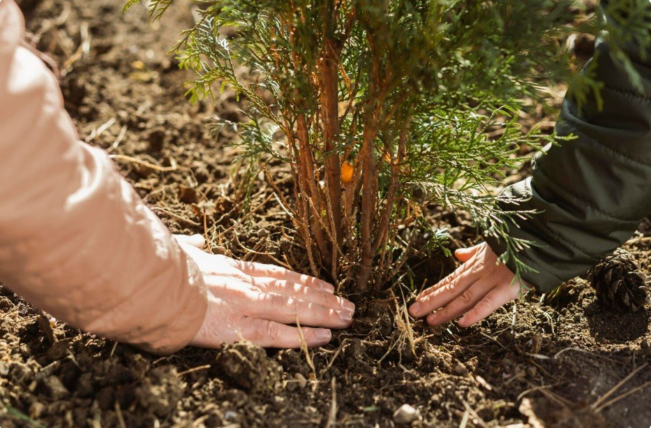 ������������ ���������� � ����� �� ��������� ��� ������������ �� ����������