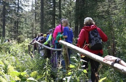 Экотуризм открывает новые возможности для инвесторов в бизнесе