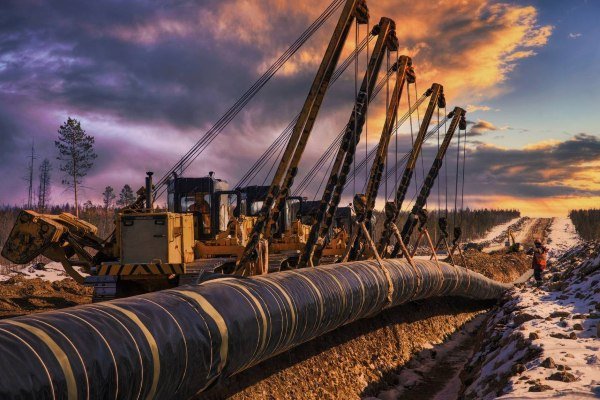 ��� ������ ���� ���� ��������� ������������������ �����